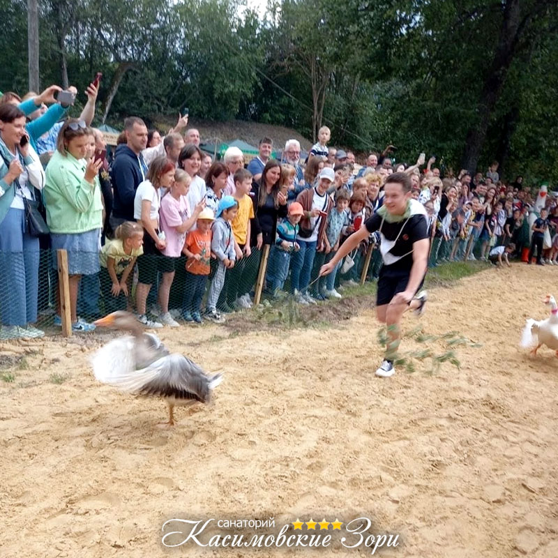 Погода поселок гусь